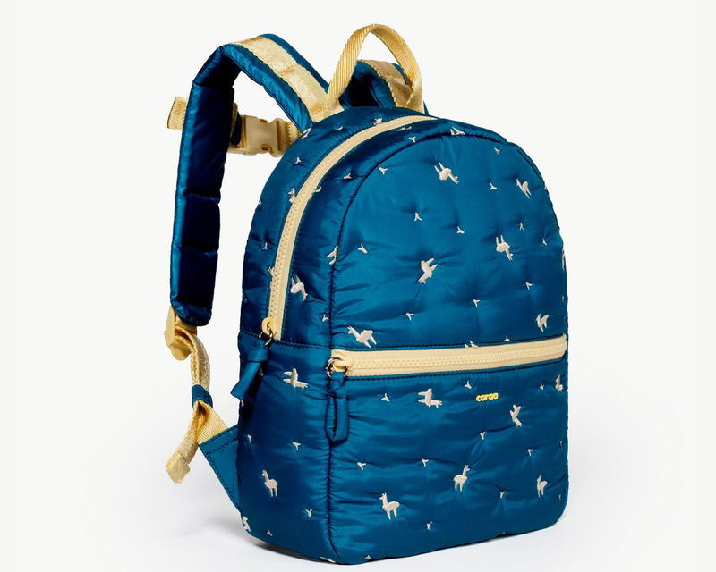 Kids Backpack