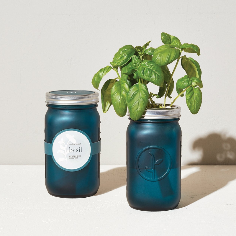 Modern Sprout self-watering herb garden jar - Grandparents Day gift 2026 - $24