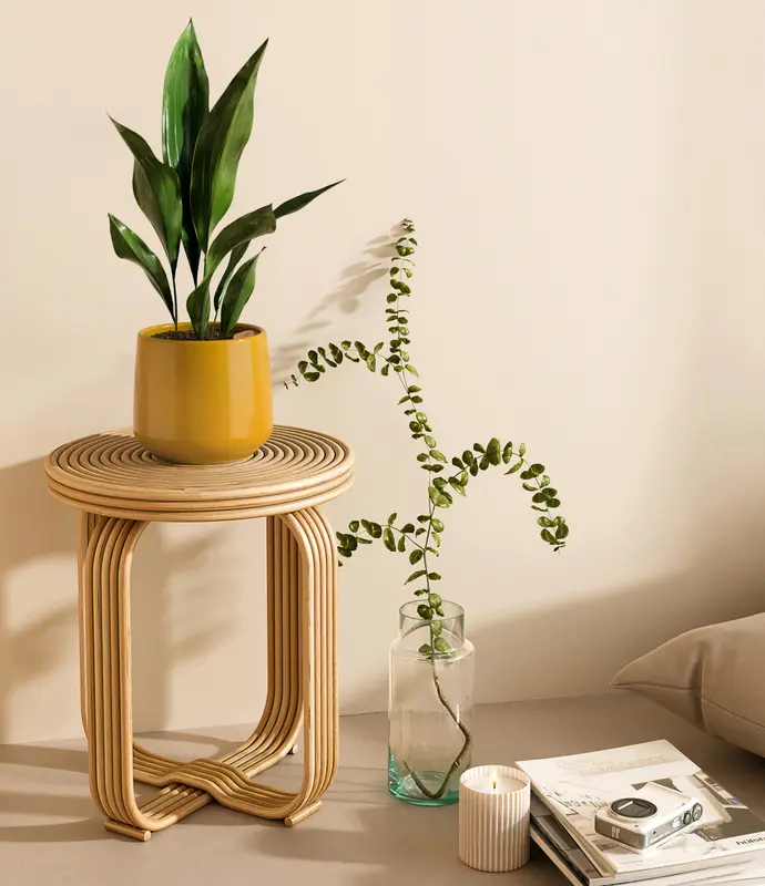 Medium Cast Iron Plant in Self Watering Ceramic Potter