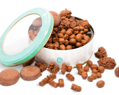 Chocolate Covered Dreams Gift Tin