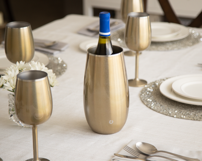 Stainless Steel Wine Chiller and Wine Glass Gift Set