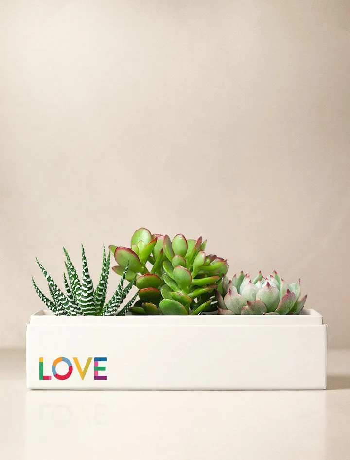 Pride Jewel Garden