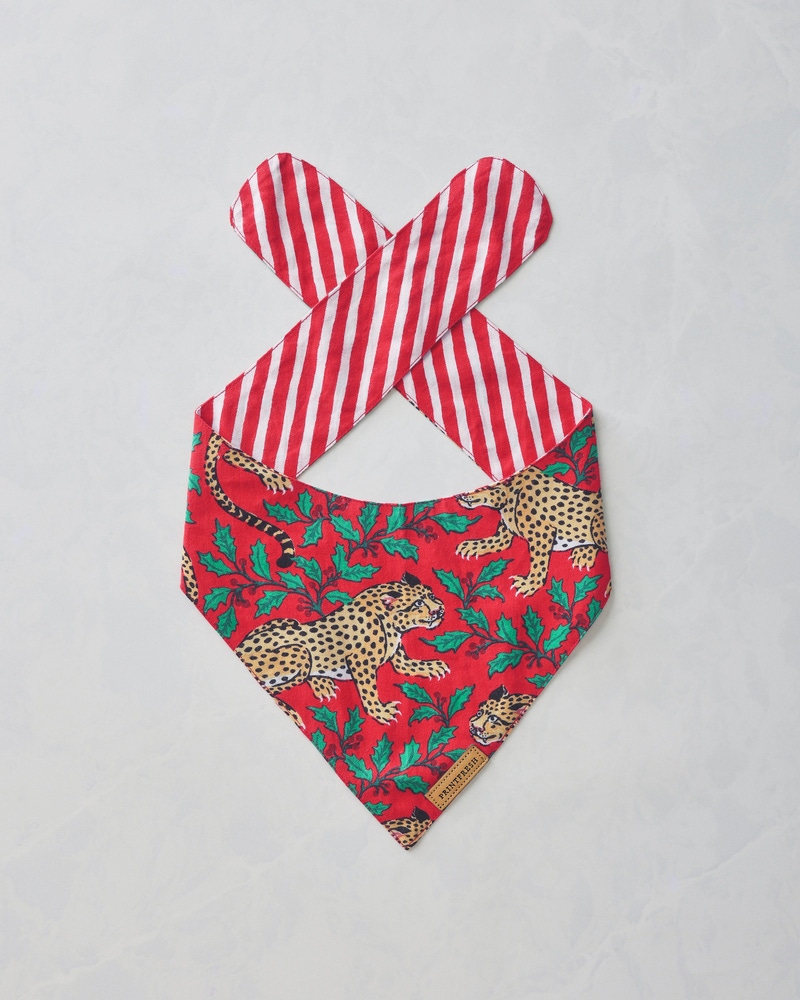 Small Pet Bandana