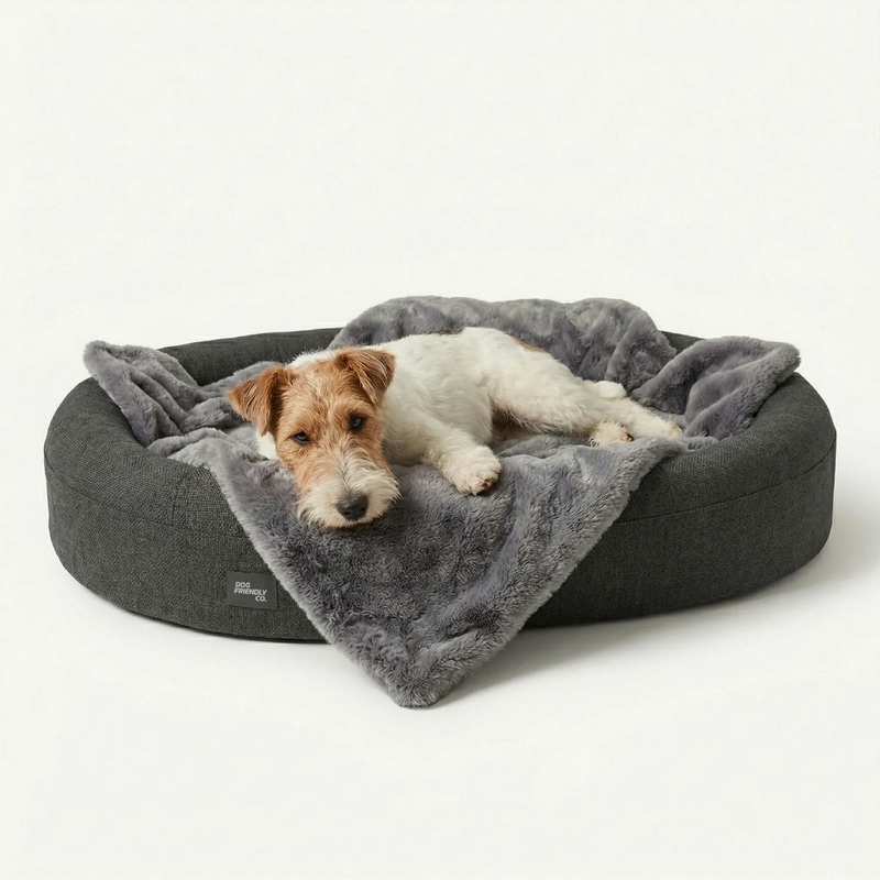 Large Chill Pill Memory Foam Dog Bed