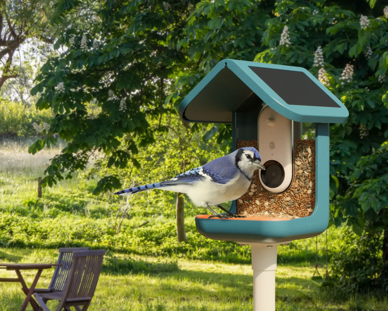 Smart Bird Feeder with Solar Roof