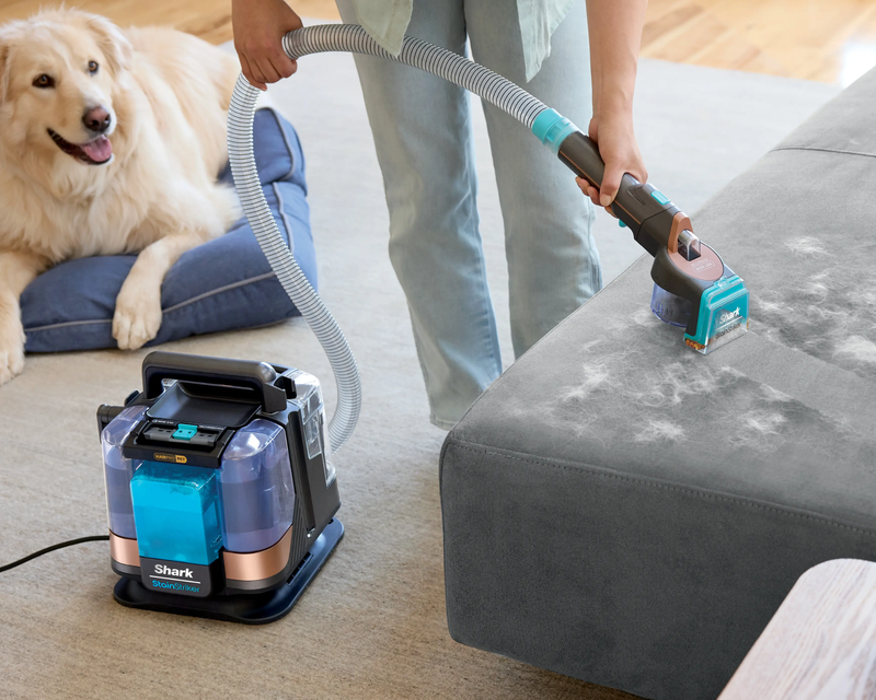 StainStriker HairPro Portable Spot & Stain Deep Cleaner