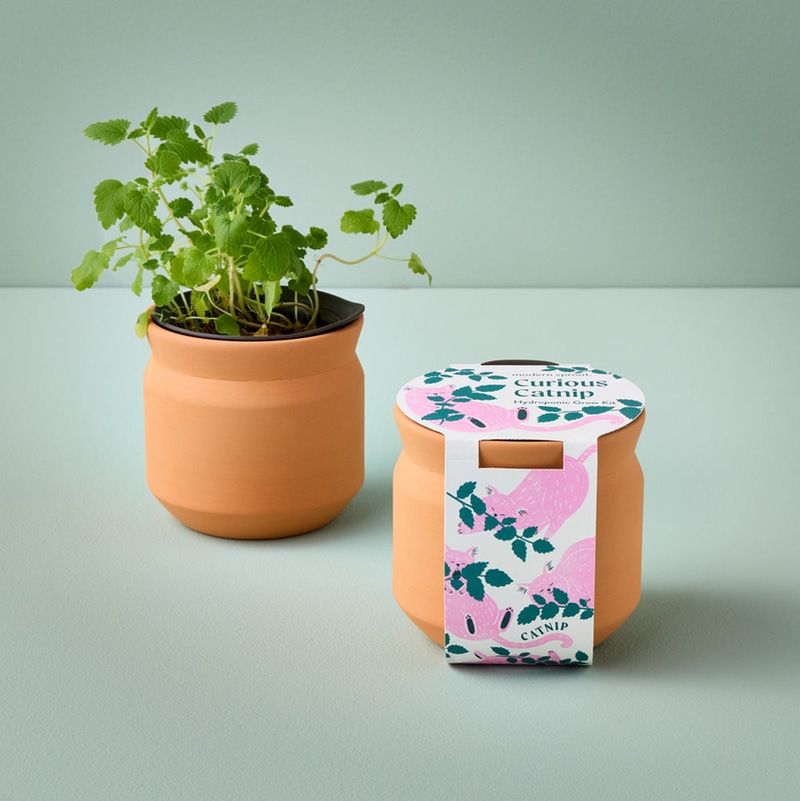 Pet Tiny Terracotta Grow Kit