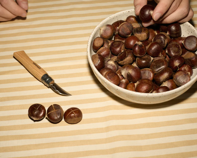 Roast Chestnut Cozy Season Bundle