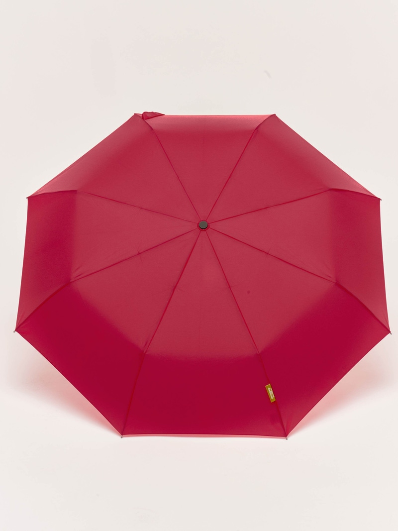 The Daily Umbrella