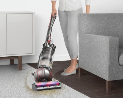 Ball Animal 3 Upright Vacuum