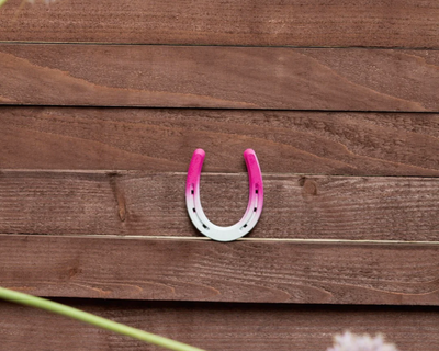 Colorful Painted Horseshoe