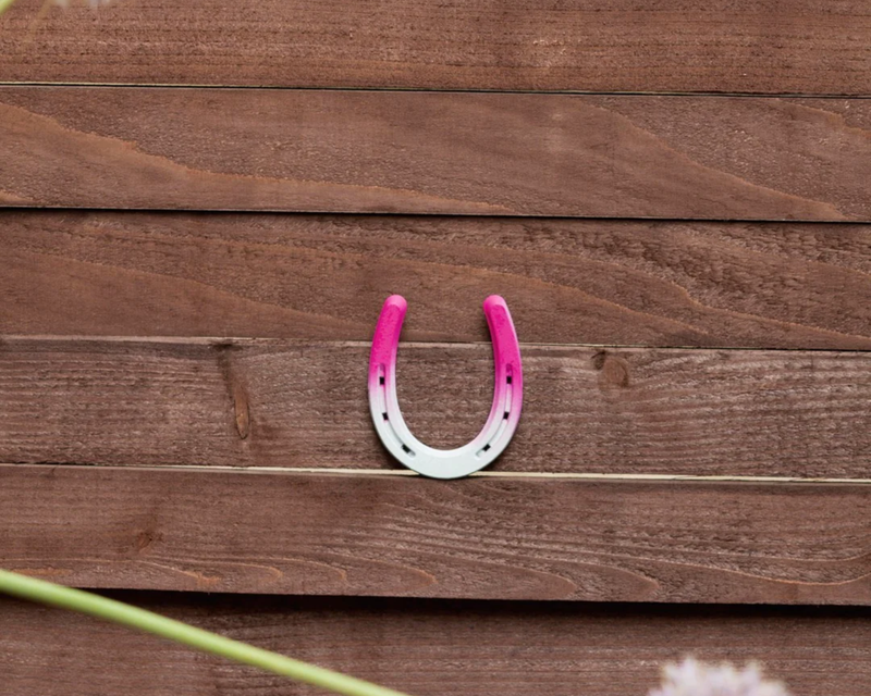 Colorful Painted Horseshoe