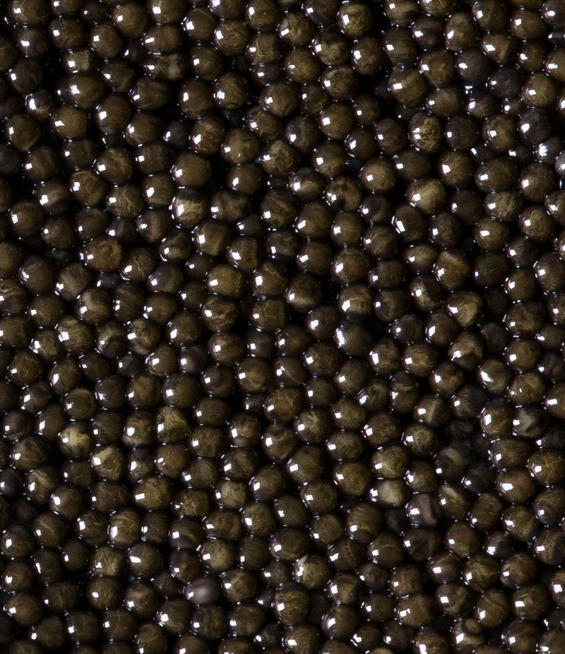 Regalis Siberian Sturgeon Caviar, 4oz