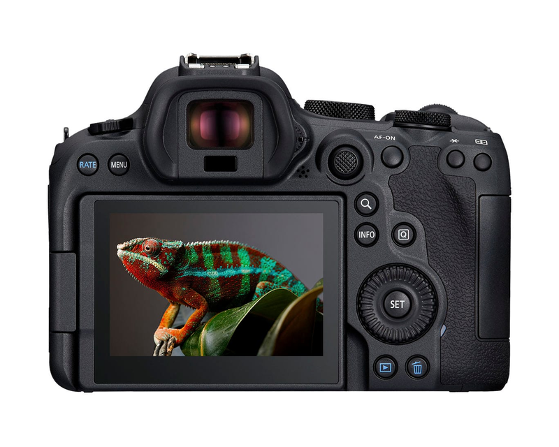 EOS R6 Mark II Mirrorless Camera 