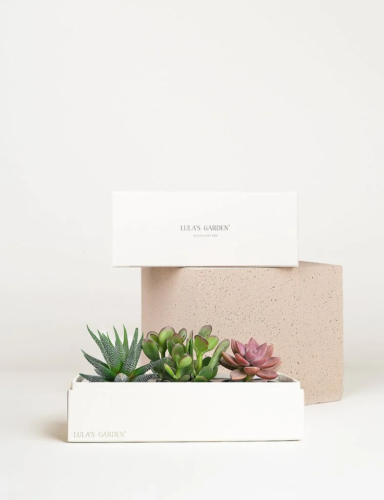 Jewel Garden