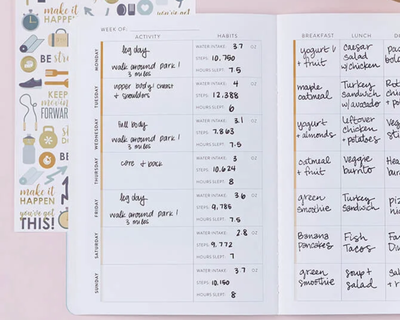 Colorblends Wellness Log PetitePlanner