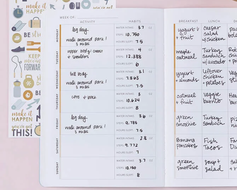 Colorblends Wellness Log PetitePlanner