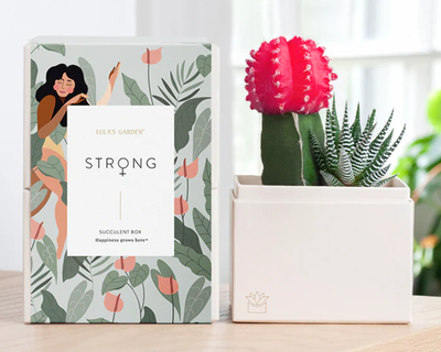 Women's History Month Rosé Garden