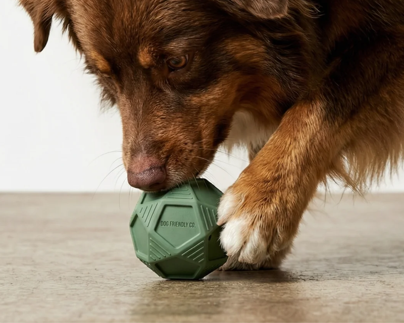 Penta Ball Dog Toy