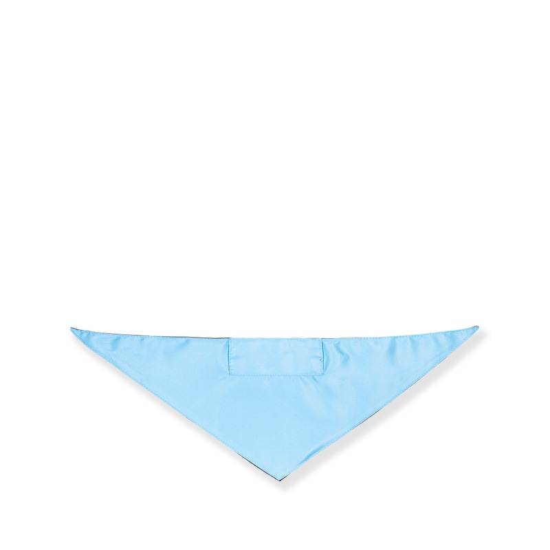 Small Pet Bandana