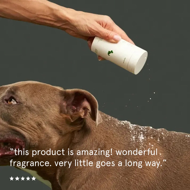 Dry Shampoo