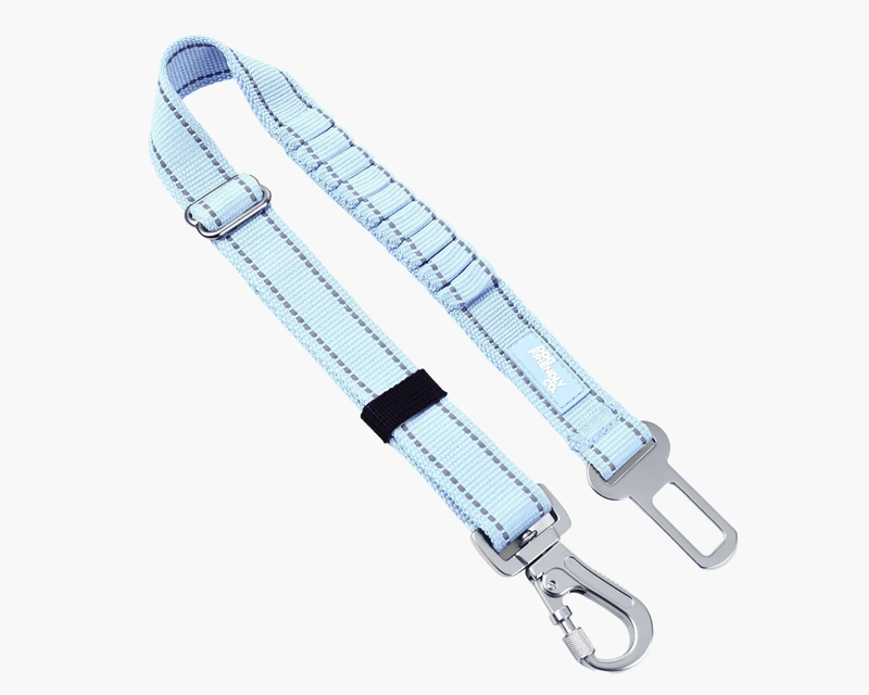 Dog Seat Belt