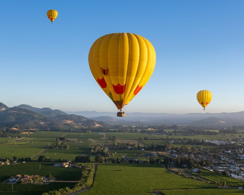 Napa Valley Hot Air Balloon Ride for One