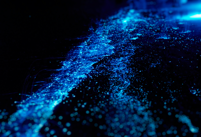 Bioluminescent Kayak Adventure for Two, Tomales Bay, CA