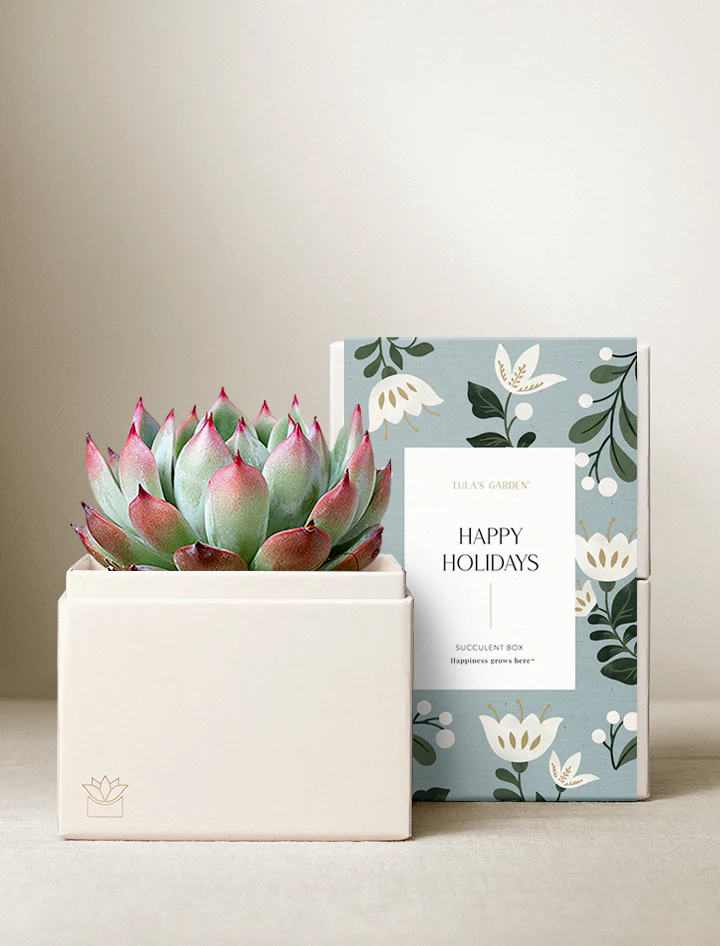 Holiday Bliss Garden