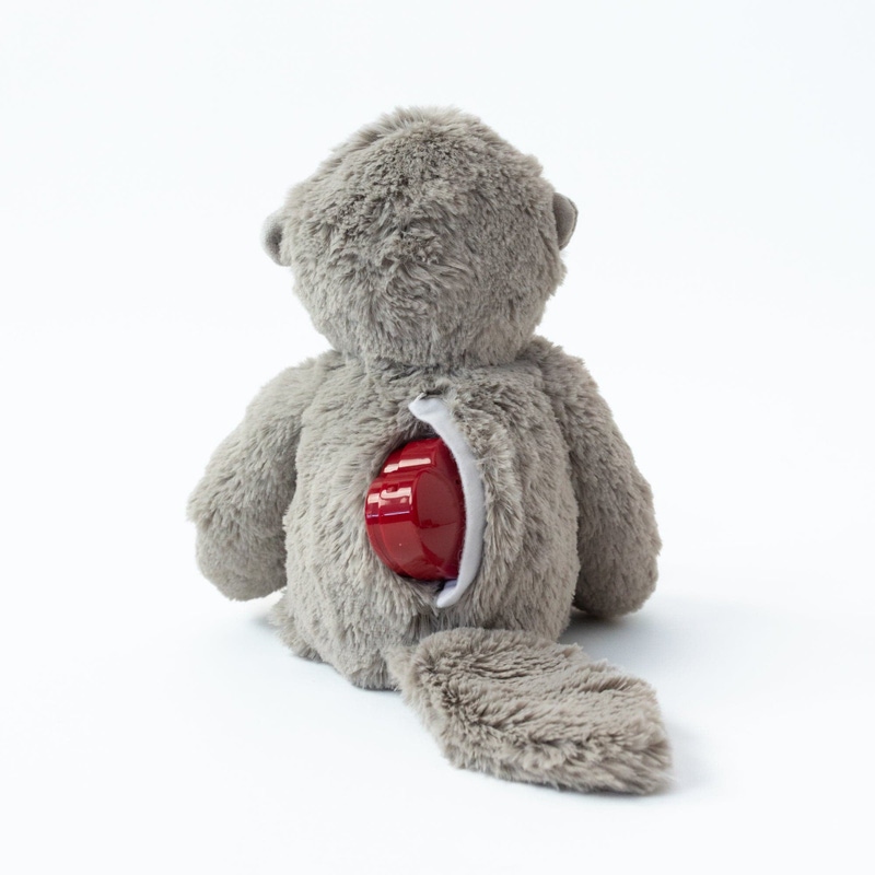 Messages from the Heart: Recordable Otter Gift Set