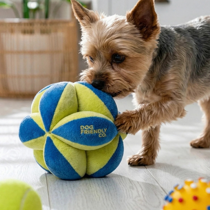 Geo Ball Dog Toy