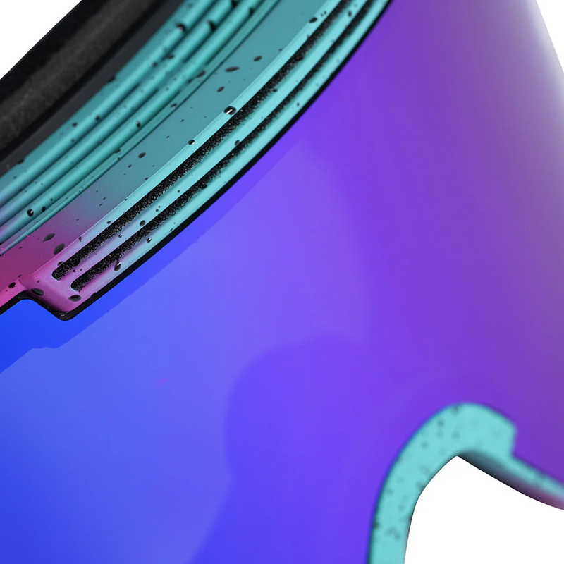 The Artificial Proform Goggle