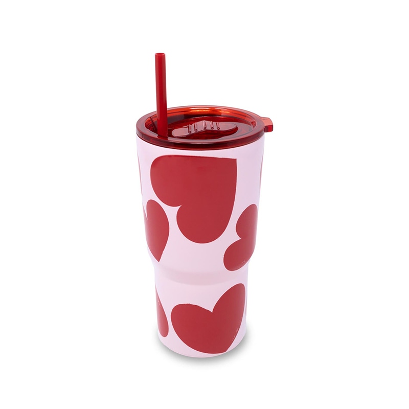 Stainless Steel 20oz Tumbler with Straw