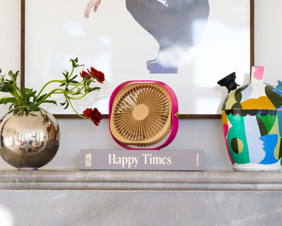 Portable Fan