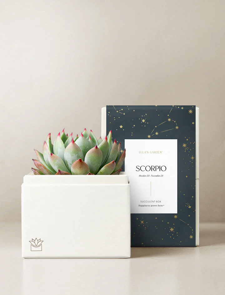 Birthday Astrology Garden