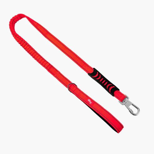 Bungee Dog Leash
