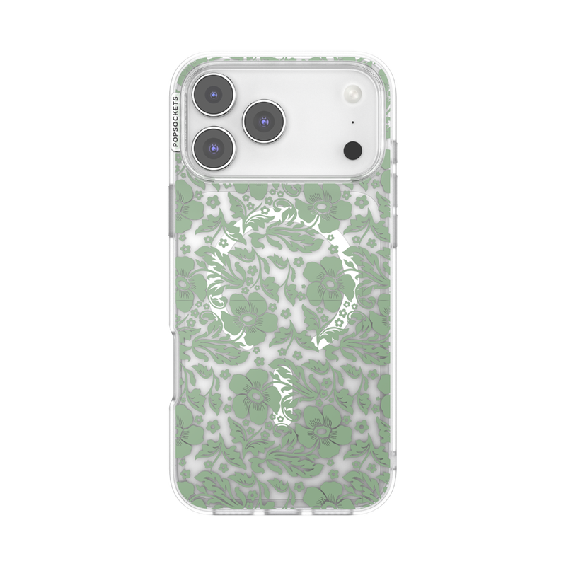 Lace Eucalyptus