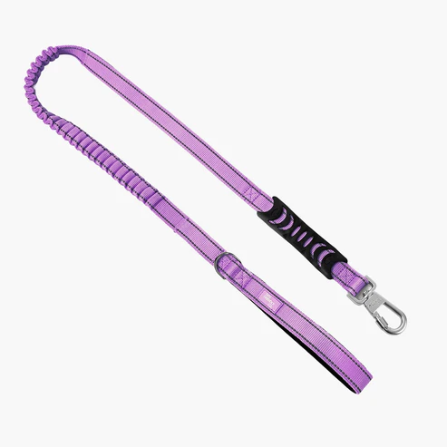 Bungee Dog Leash