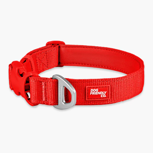 Essentials Collar
