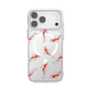 Koi