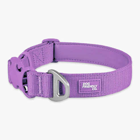 Essentials Collar