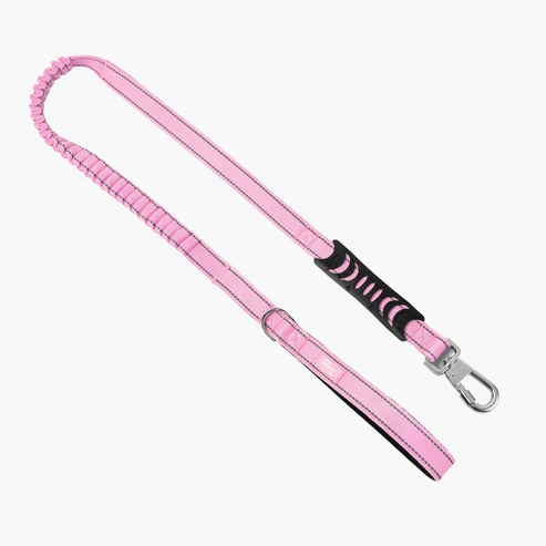 Bungee Dog Leash