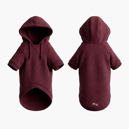 Winter Dog Hoodie