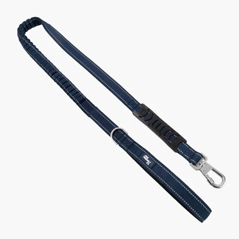 Bungee Dog Leash