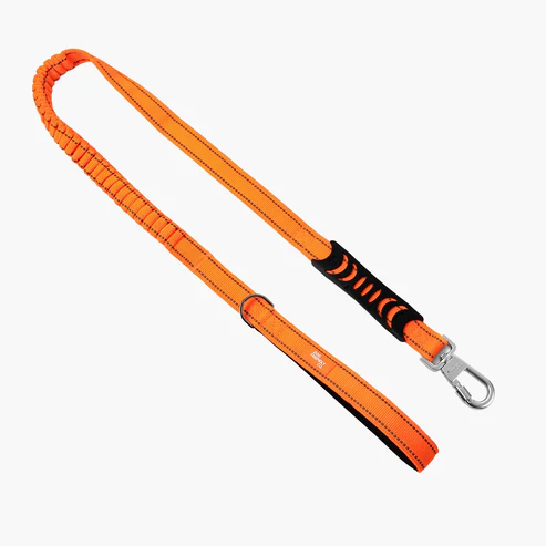 Bungee Dog Leash