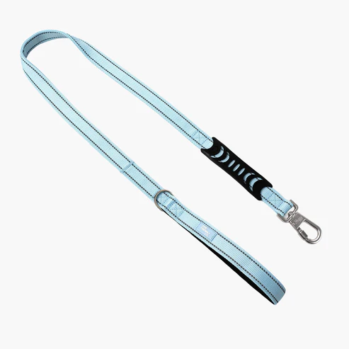 Classic Dog Leash