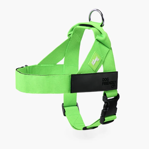 Dog Harness