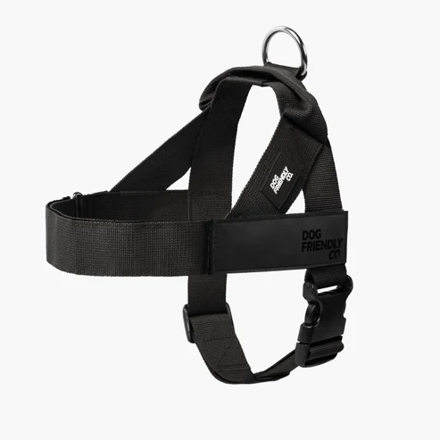 Dog Harness