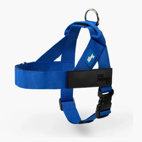 Dog Harness