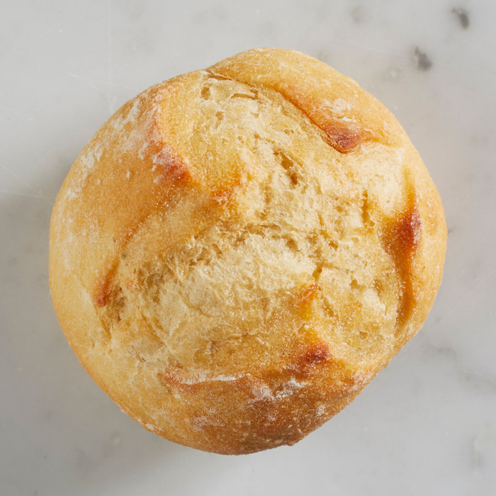 Bacci